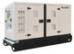 Meccalte Alternator Industrial Genset Synchronous Prime Power 100-200kva 108kw  50 HZ आपूर्तिकर्ता