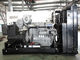 320 किलोवाट पर्किन्स डीजल इंजन जेनरेटर